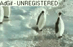 38-penguin1jn